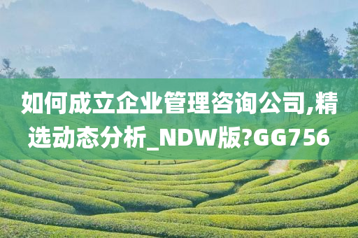 如何成立企业管理咨询公司,精选动态分析_NDW版?GG756