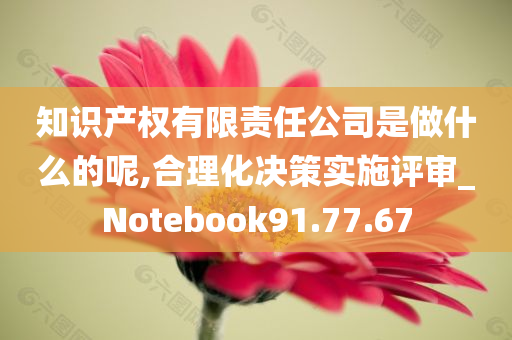 知识产权有限责任公司是做什么的呢,合理化决策实施评审_Notebook91.77.67