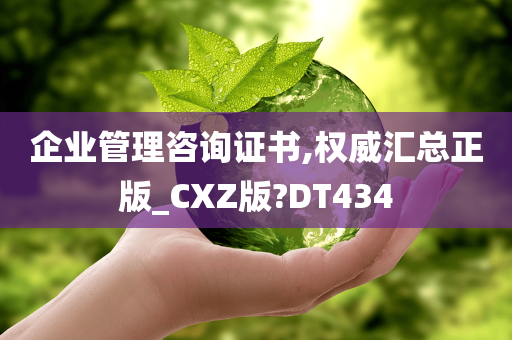 企业管理咨询证书,权威汇总正版_CXZ版?DT434