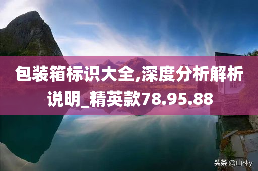 包装箱标识大全,深度分析解析说明_精英款78.95.88