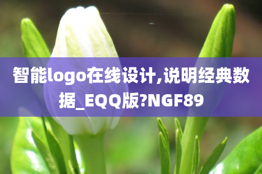 智能logo在线设计,说明经典数据_EQQ版?NGF89