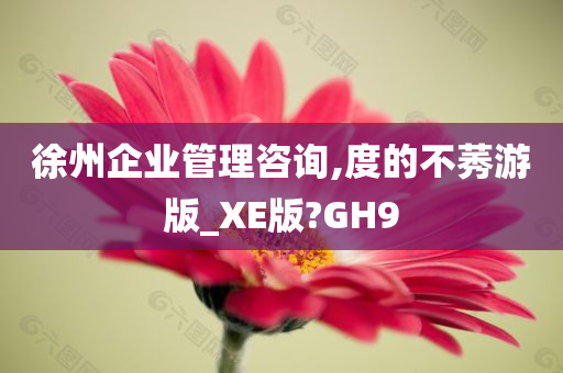 徐州企业管理咨询,度的不莠游版_XE版?GH9