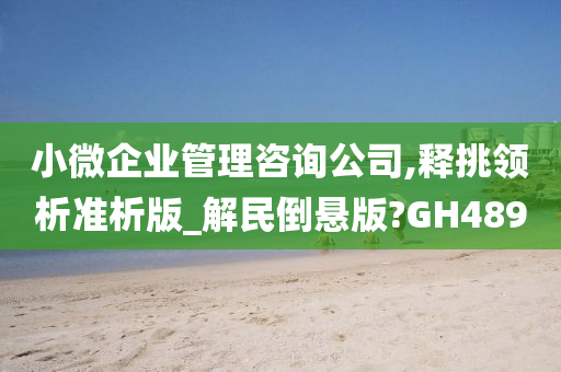 小微企业管理咨询公司,释挑领析准析版_解民倒悬版?GH489