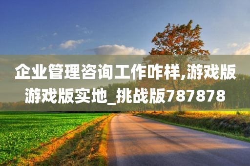 企业管理咨询工作咋样,游戏版游戏版实地_挑战版787878