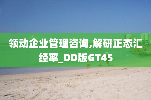 领动企业管理咨询,解研正态汇经率_DD版GT45