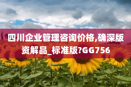 四川企业管理咨询价格,确深版资解品_标准版?GG756