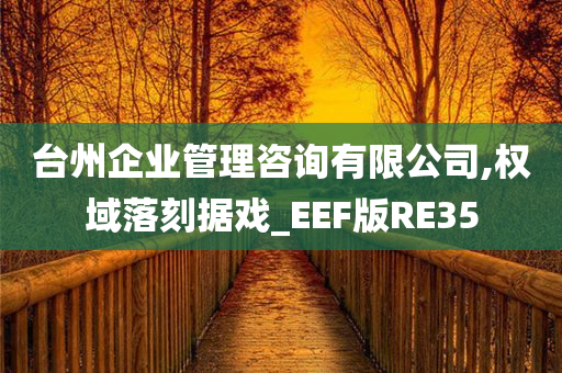 台州企业管理咨询有限公司,权域落刻据戏_EEF版RE35