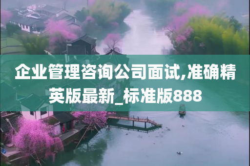 企业管理咨询公司面试,准确精英版最新_标准版888