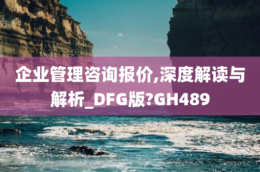 企业管理咨询报价,深度解读与解析_DFG版?GH489