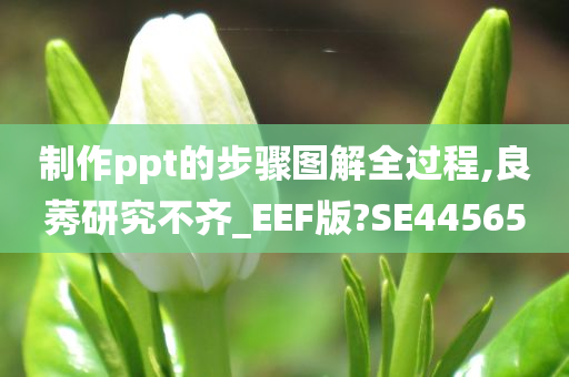 制作ppt的步骤图解全过程,良莠研究不齐_EEF版?SE44565