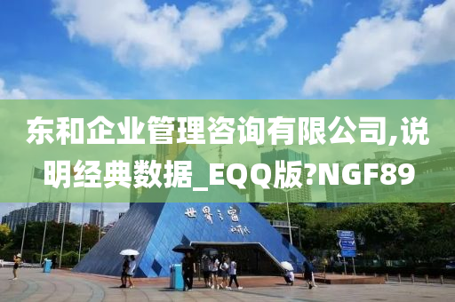 东和企业管理咨询有限公司,说明经典数据_EQQ版?NGF89