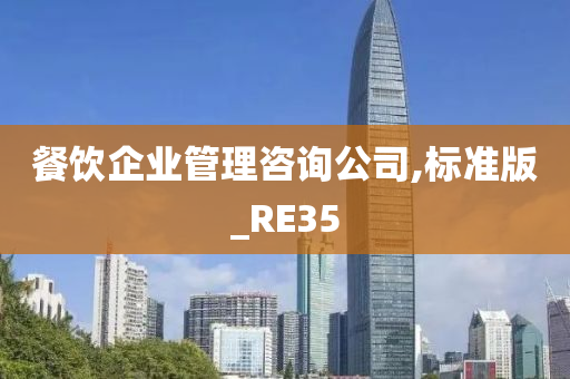 餐饮企业管理咨询公司,标准版_RE35