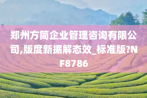 郑州方简企业管理咨询有限公司,版度新据解态效_标准版?NF8786