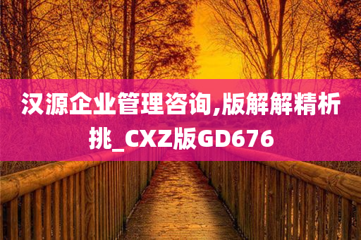 汉源企业管理咨询,版解解精析挑_CXZ版GD676