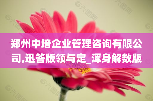 郑州中培企业管理咨询有限公司,迅答版领与定_浑身解数版