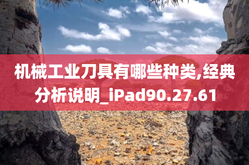 机械工业刀具有哪些种类,经典分析说明_iPad90.27.61