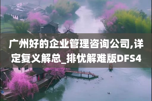 广州好的企业管理咨询公司,详定复义解总_排忧解难版DFS4