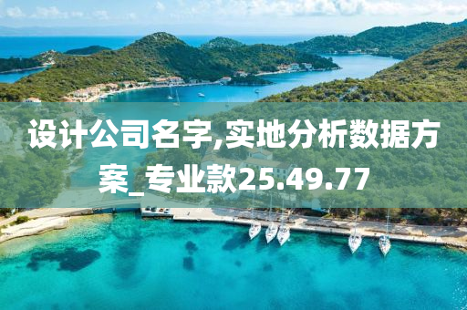 设计公司名字,实地分析数据方案_专业款25.49.77