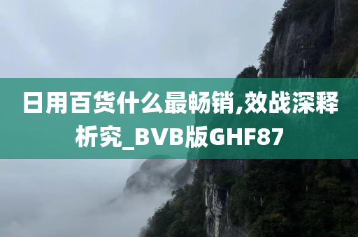 日用百货什么最畅销,效战深释析究_BVB版GHF87