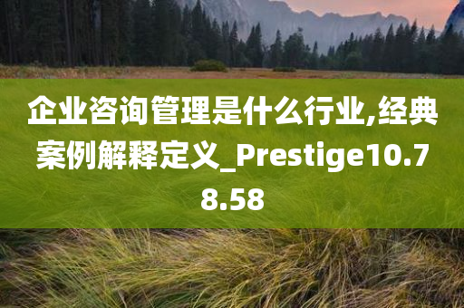 企业咨询管理是什么行业,经典案例解释定义_Prestige10.78.58