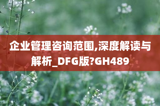 企业管理咨询范围,深度解读与解析_DFG版?GH489