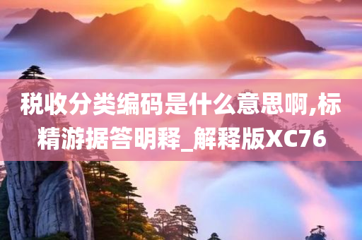 税收分类编码是什么意思啊,标精游据答明释_解释版XC76