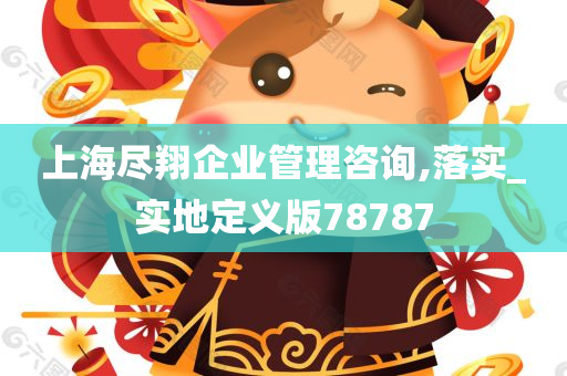 上海尽翔企业管理咨询,落实_实地定义版78787