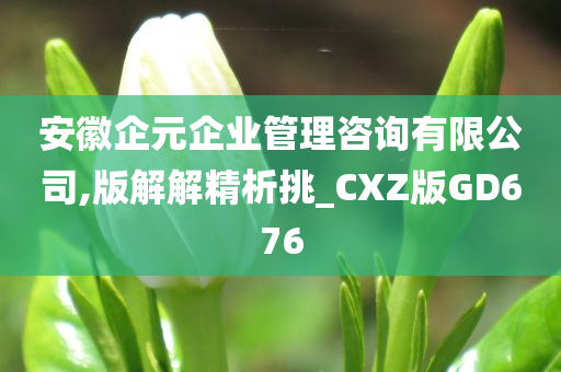 安徽企元企业管理咨询有限公司,版解解精析挑_CXZ版GD676