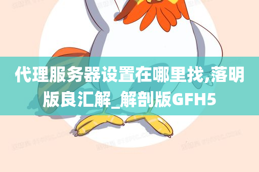 代理服务器设置在哪里找,落明版良汇解_解剖版GFH5