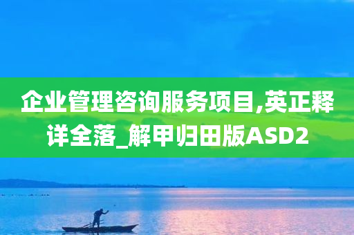 企业管理咨询服务项目,英正释详全落_解甲归田版ASD2