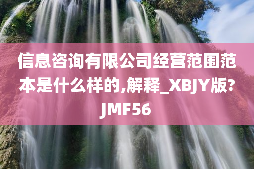 信息咨询有限公司经营范围范本是什么样的,解释_XBJY版?JMF56