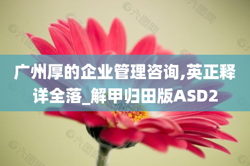 广州厚的企业管理咨询,英正释详全落_解甲归田版ASD2