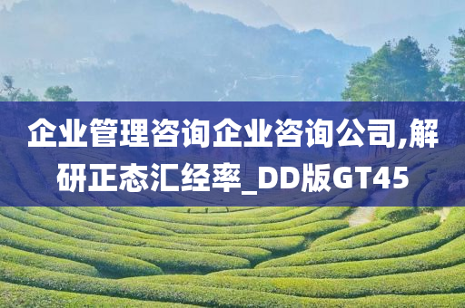 企业管理咨询企业咨询公司,解研正态汇经率_DD版GT45