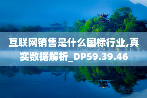 互联网销售是什么国标行业,真实数据解析_DP59.39.46