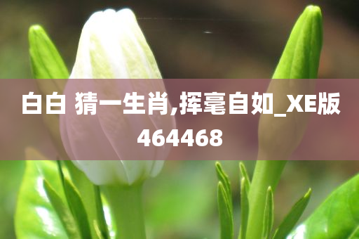 白白 猜一生肖,挥毫自如_XE版464468