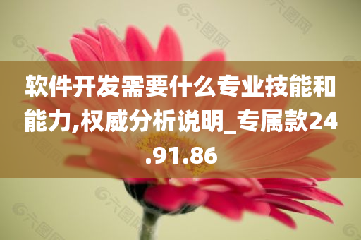 软件开发需要什么专业技能和能力,权威分析说明_专属款24.91.86