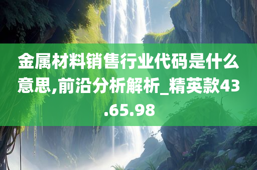 金属材料销售行业代码是什么意思,前沿分析解析_精英款43.65.98