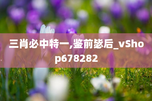 三肖必中特一,鉴前毖后_vShop678282