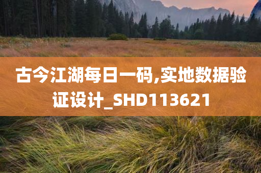 古今江湖每日一码,实地数据验证设计_SHD113621