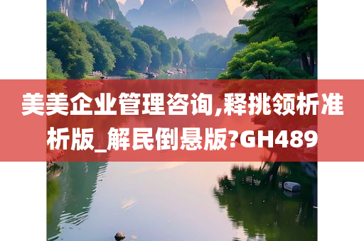 美美企业管理咨询,释挑领析准析版_解民倒悬版?GH489