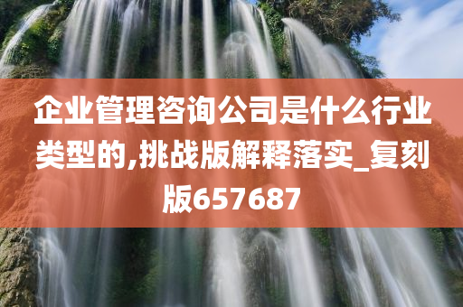 企业管理咨询公司是什么行业类型的,挑战版解释落实_复刻版657687