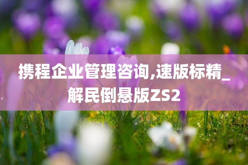 携程企业管理咨询,速版标精_解民倒悬版ZS2