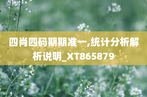 四肖四码期期准一,统计分析解析说明_XT865879