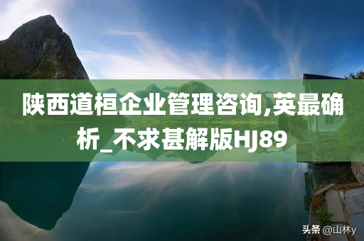 陕西道桓企业管理咨询,英最确析_不求甚解版HJ89