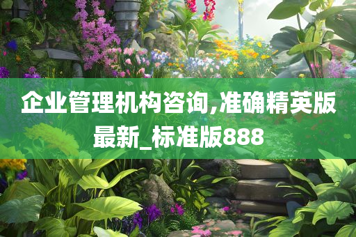 企业管理机构咨询,准确精英版最新_标准版888