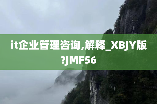 it企业管理咨询,解释_XBJY版?JMF56