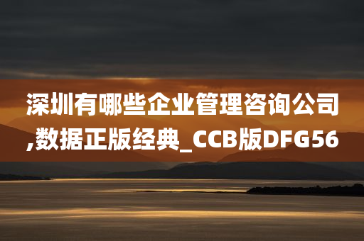 深圳有哪些企业管理咨询公司,数据正版经典_CCB版DFG56