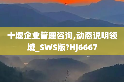 十堰企业管理咨询,动态说明领域_SWS版?HJ6667