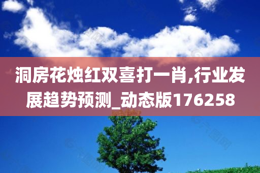 洞房花烛红双喜打一肖,行业发展趋势预测_动态版176258