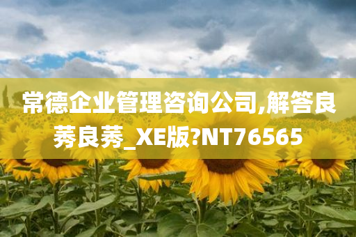 常德企业管理咨询公司,解答良莠良莠_XE版?NT76565